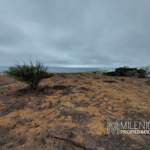 Terreno Guanaquero, Coquimbo