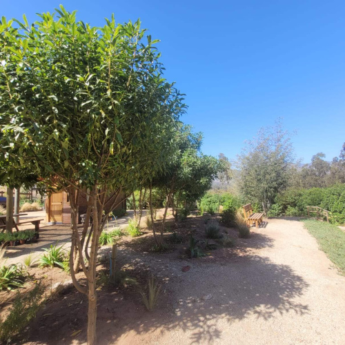 Terreno en Maitencillo