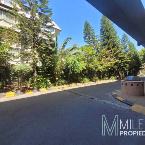Departamento sector los Leones, Providencia